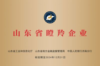 2021年被评为山东省瞪羚企业